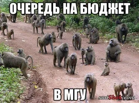 Фото приколы, крипитись будет смешно Фото приколы, крипитись будет смешно