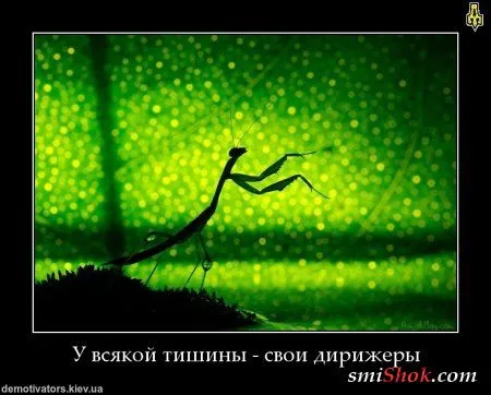 Демки для позитивных людей