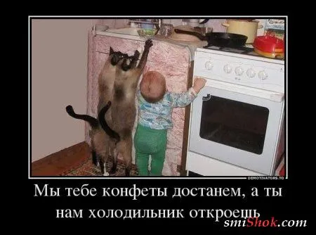 Демки для позитивных людей