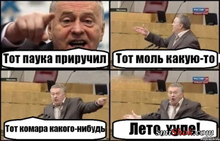 Приколы на фото, позитивный раслабончик Приколы на фото, позитивный раслабончик