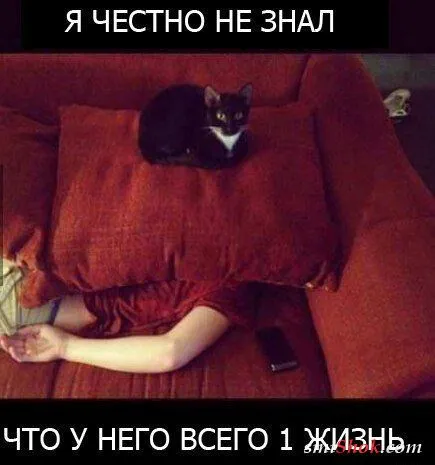 Приколы на фото, позитивный раслабончик Приколы на фото, позитивный раслабончик