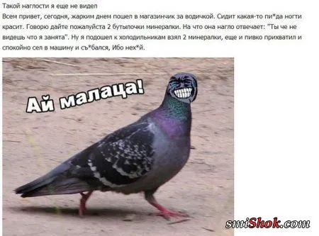 Приколы на фото, позитивный раслабончик Приколы на фото, позитивный раслабончик