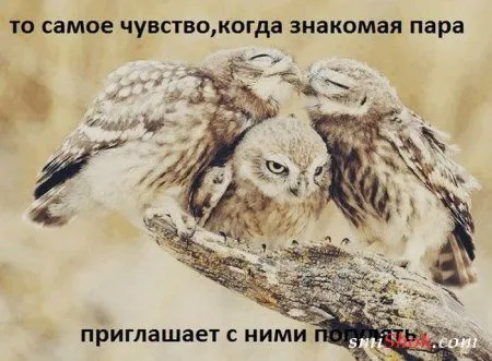 Микс приколы, фото подборка Микс приколы, фото подборка