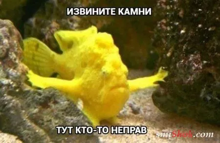 Микс приколы, фото подборка Микс приколы, фото подборка