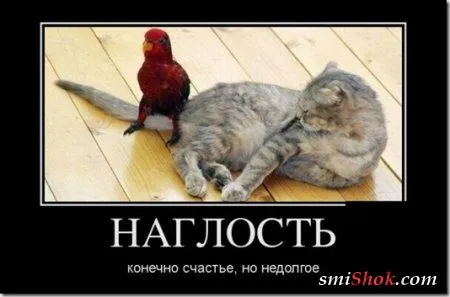 Демки Сс-уу-ббоние две страницы позитива Демки Сс-уу-ббоние две страницы позитива