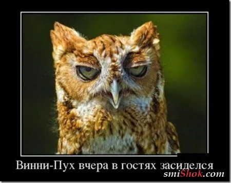 Демки Сс-уу-ббоние две страницы позитива Демки Сс-уу-ббоние две страницы позитива