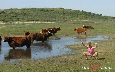 Прикольные фото, что-то в жизни меняется Прикольные фото, что-то в жизни меняется