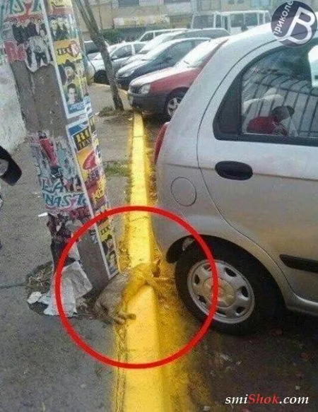 Прикольные фото, что-то в жизни меняется Прикольные фото, что-то в жизни меняется