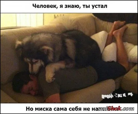 Комиксы и другие прикольности!
