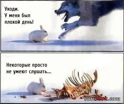 Вот вам и фото приколы, конечно новые
