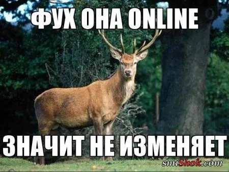 Вот вам и фото приколы, конечно новые