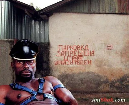 Вот вам и фото приколы, конечно новые