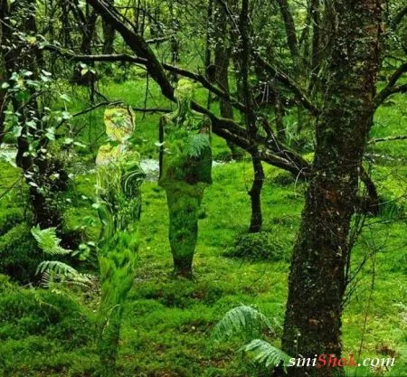 Люди-невидимки