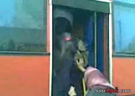 Весёлый общественный транспорт