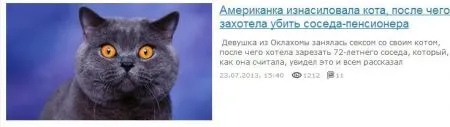 Вот вам и фото приколы, конечно новые