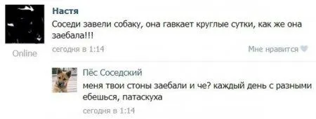 Прикольные переписки и подписи