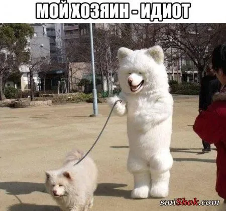 Прикольные переписки и подписи