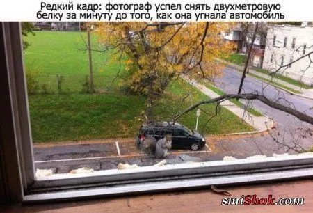 Прикольные прикольчики, ни как то так...