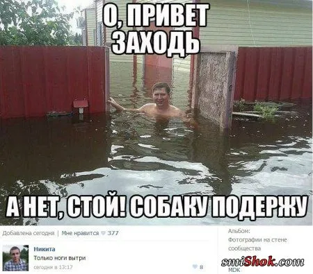 Прикольные прикольчики, ни как то так...