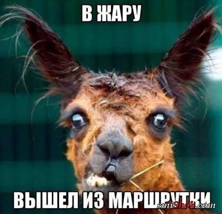 Прикольные прикольчики, ни как то так...
