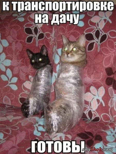 Прикольные прикольчики, ни как то так...