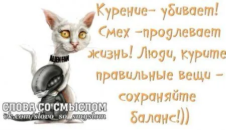 Позитив со смыслом...