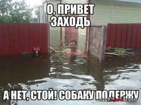 С фото приколами и настроение хорошее