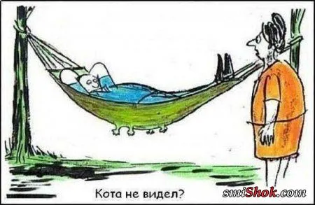 Карикатуры, анекдотичные картинки Карикатуры, анекдотичные картинки