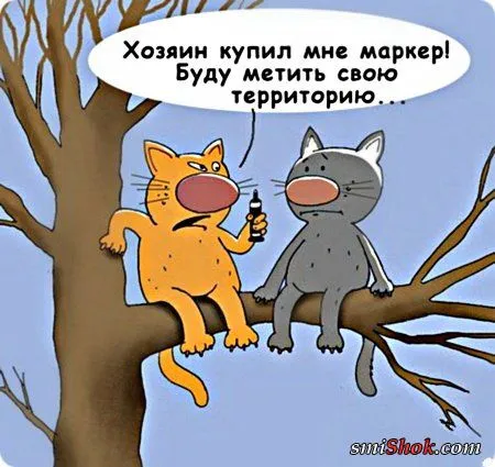 Карикатуры, анекдотичные картинки Карикатуры, анекдотичные картинки