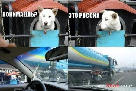Приколы смотреть, настроение себе поднимать