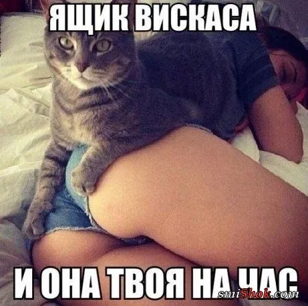 Разнобойчик фото приколы