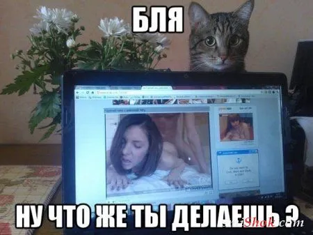Фото для тех, кому приколов всегда мало