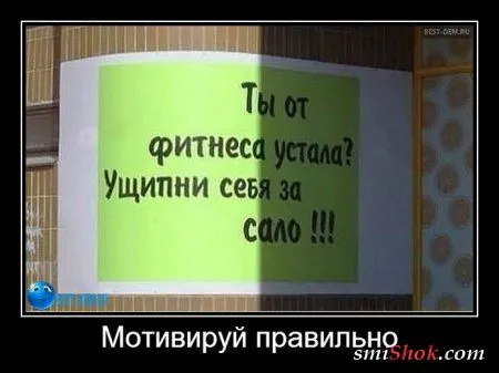 Демотиваторы - приколы для улыбки
