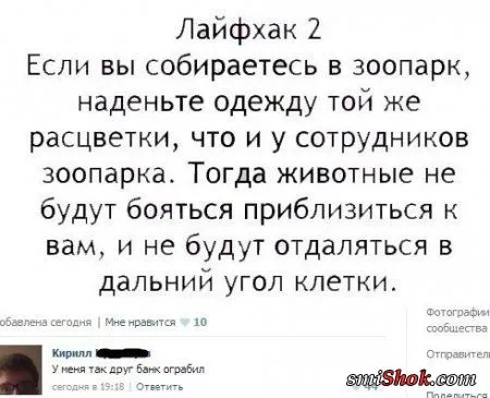 Прикольные комментарии и переписки