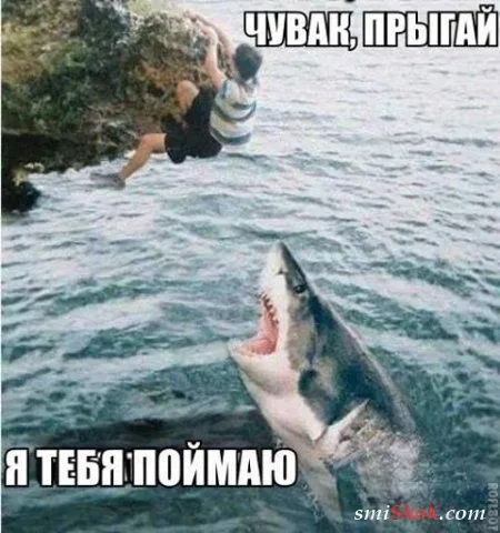 Прикольные комментарии и переписки