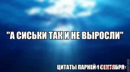 Прикольные комментарии и переписки