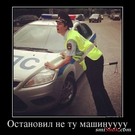 Демотиваторы. Смотрим картинки, получаем позитив!