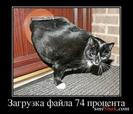 Демотиваторы. Смотрим картинки, получаем позитив!
