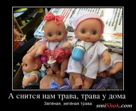 Демотиваторы. Смотрим картинки, получаем позитив!
