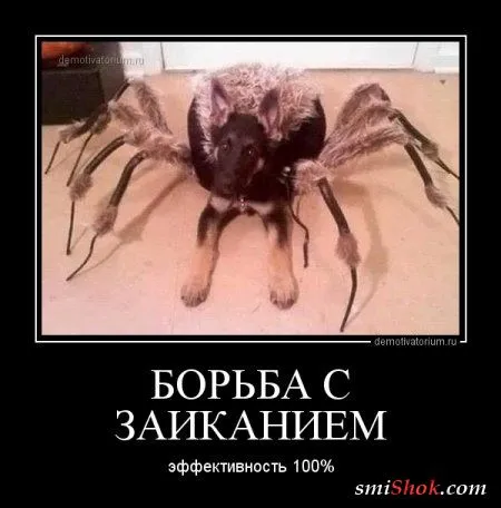 Демотиваторы. Смотрим картинки, получаем позитив!