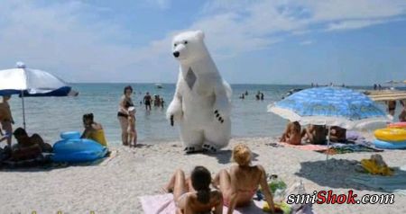 Белый медведь троллит девушек на пляже