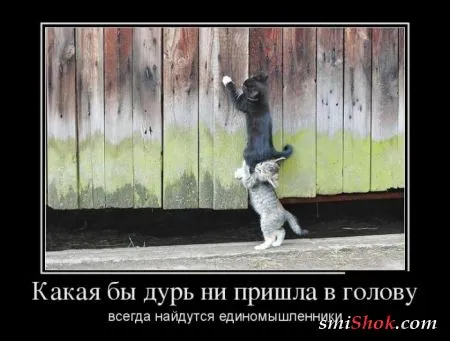 Демотиваторы пока что свежие