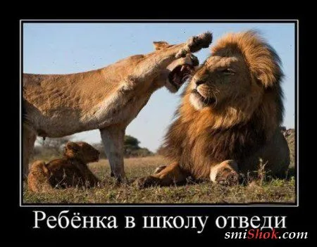 Приколы про 1 сентября... Приколы про 1 сентября...
