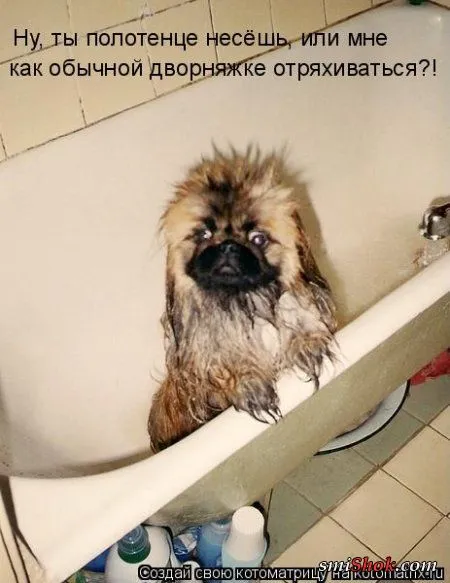 отоматррицы прикольные и всегда вовремя! отоматррицы прикольные и всегда вовремя!