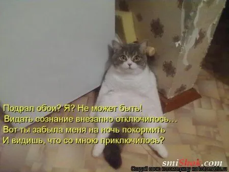 отоматррицы прикольные и всегда вовремя! отоматррицы прикольные и всегда вовремя!