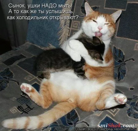 отоматррицы прикольные и всегда вовремя! отоматррицы прикольные и всегда вовремя!