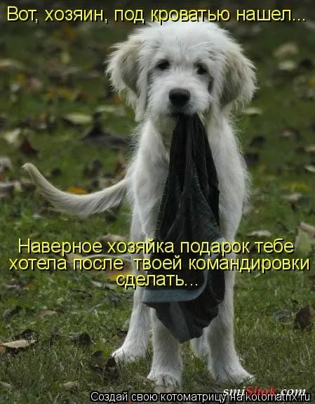 отоматррицы прикольные и всегда вовремя! отоматррицы прикольные и всегда вовремя!