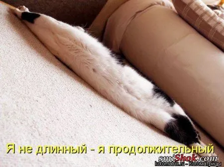 отоматррицы прикольные и всегда вовремя! отоматррицы прикольные и всегда вовремя!