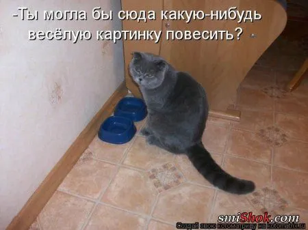 отоматррицы прикольные и всегда вовремя! отоматррицы прикольные и всегда вовремя!
