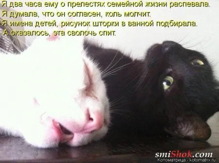 отоматррицы прикольные и всегда вовремя! отоматррицы прикольные и всегда вовремя!